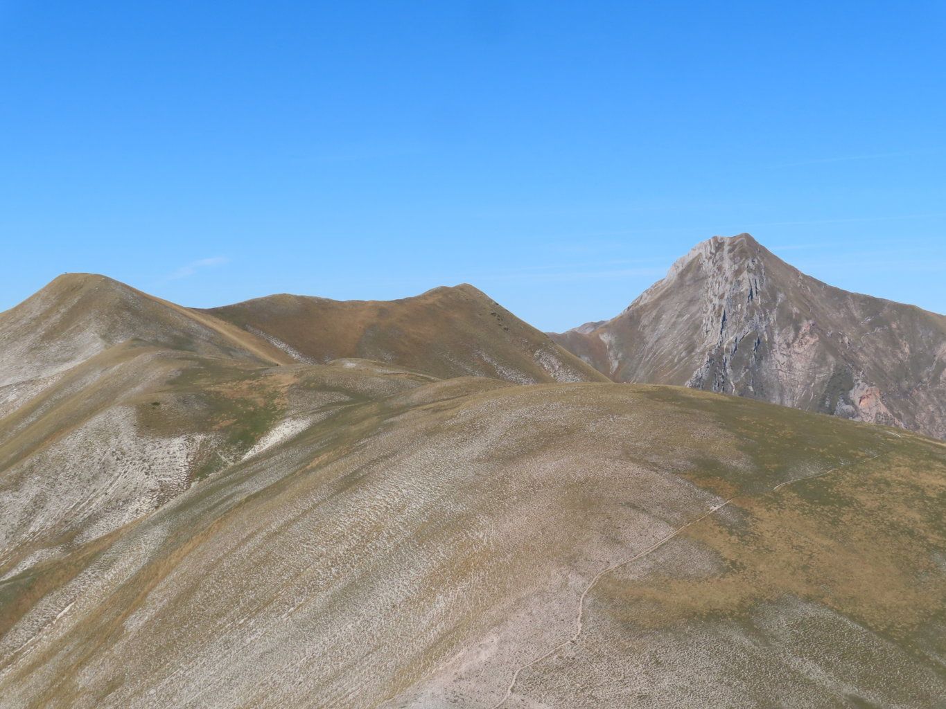 ARGENTELLA 02 11 2024 (157)
