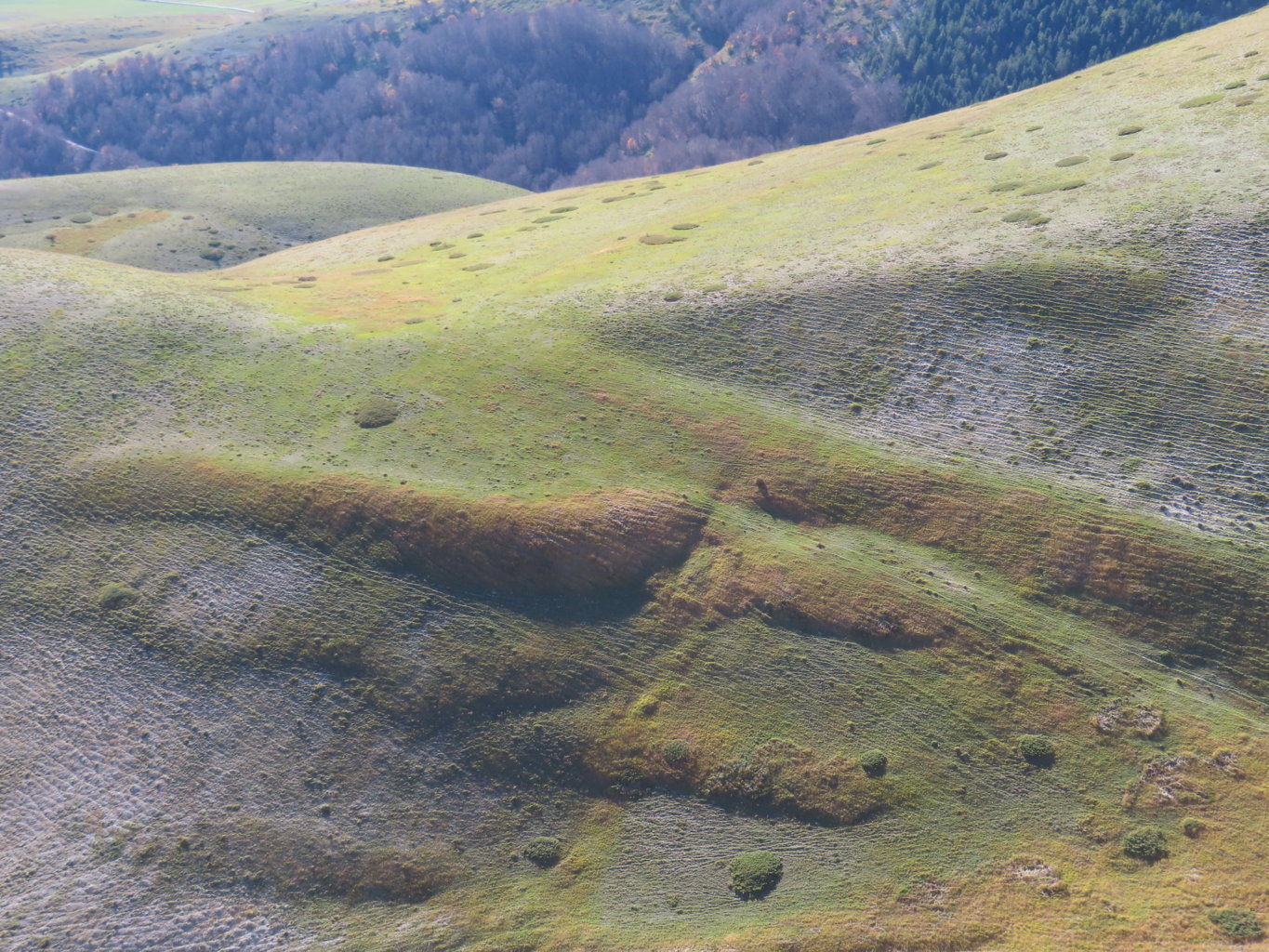 ARGENTELLA 02 11 2024 (167)