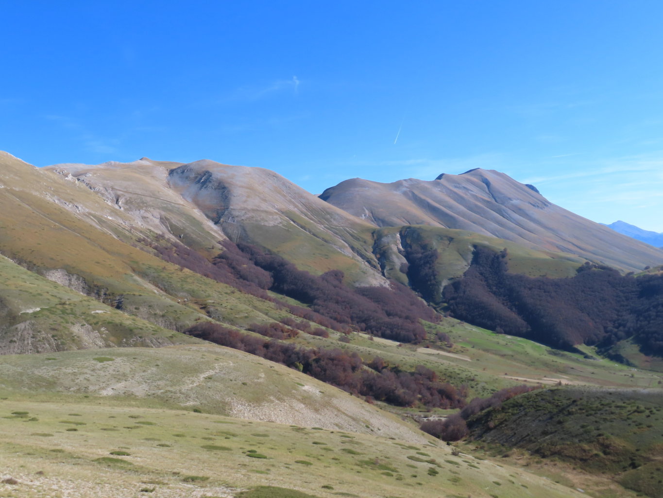 ARGENTELLA 02 11 2024 (169)