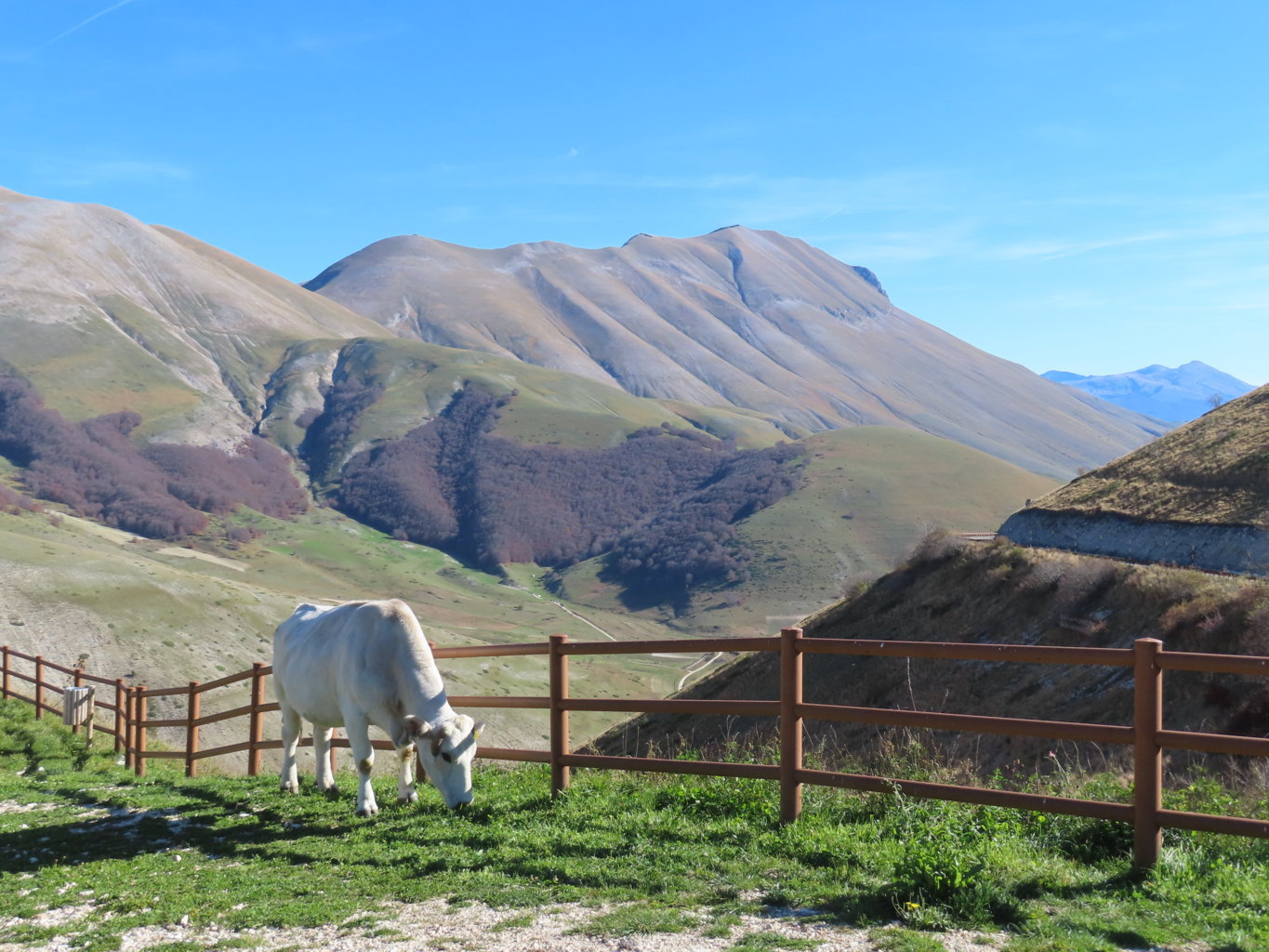 ARGENTELLA 02 11 2024 (171)