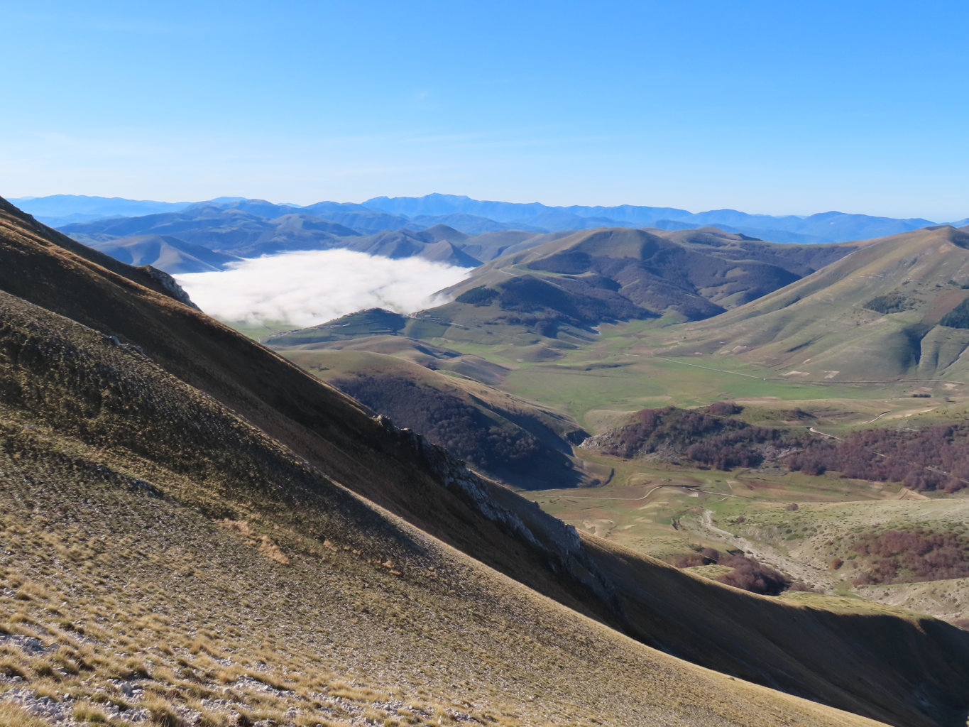 ARGENTELLA 02 11 2024 (47)