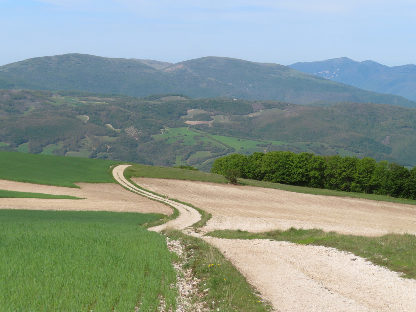VALLE CERASA 03 05 2025 (11)