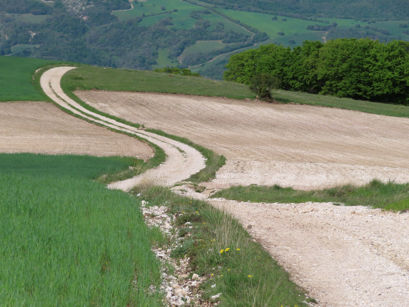 VALLE CERASA 03 05 2025 (12)