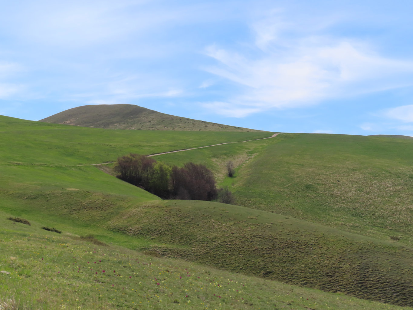 VALLE CERASA 03 05 2025 (26)