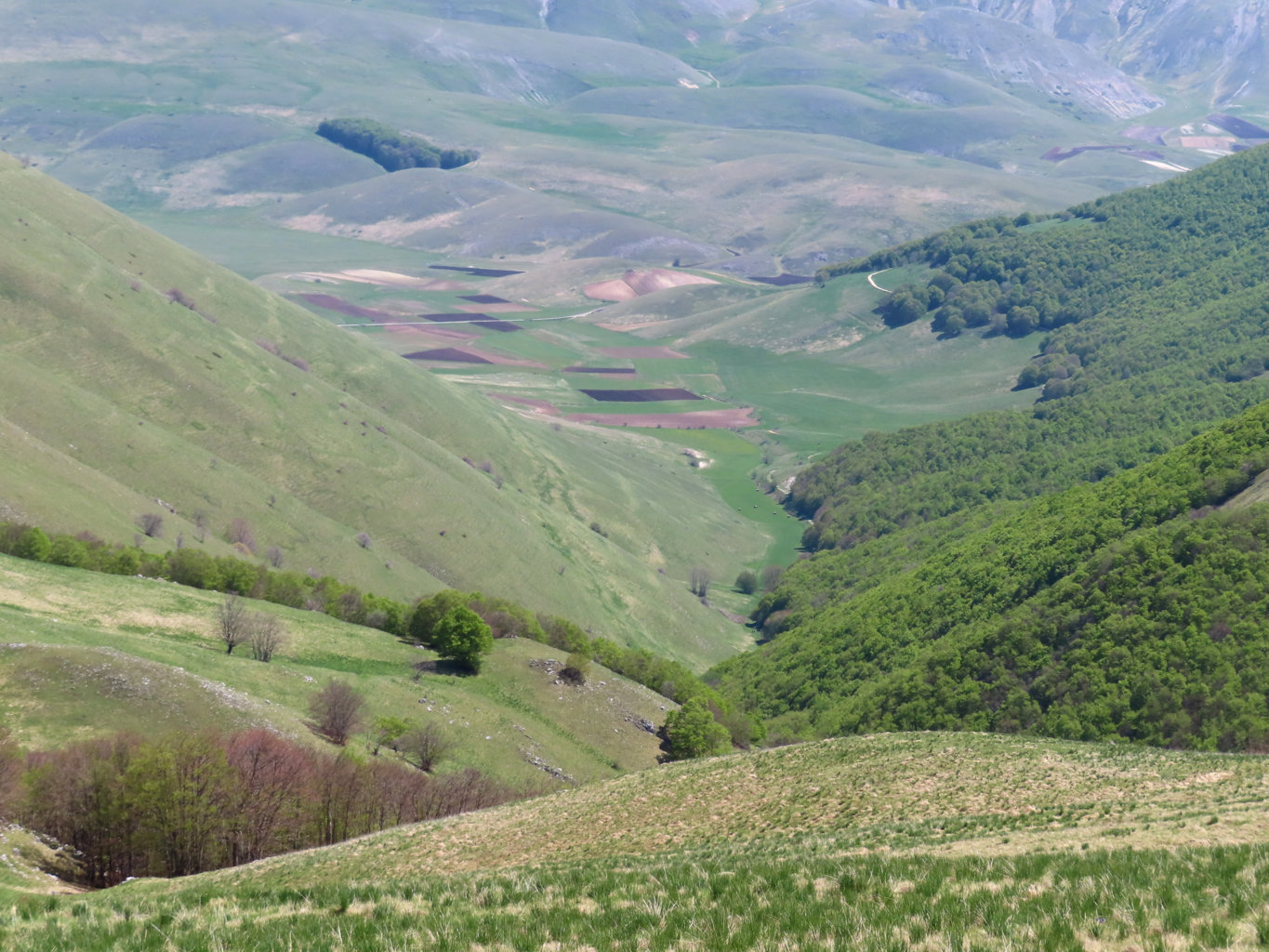 VALLE CERASA 03 05 2025 (54)